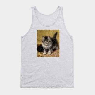 Kittens in a basket Tank Top